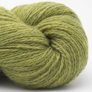 Bio Shetland - 10 Grass
