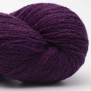 Bio Shetland - 28 Berries
