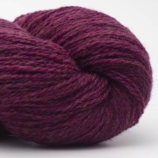 Bio Shetland - 31 Plum