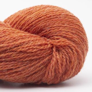 Bio Shetland - 37 Orange