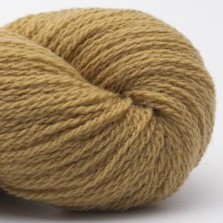 Bio Shetland - 47 Curry