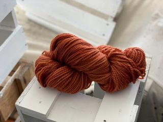 Westie - Hoodoo