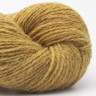 Bio Shetland - 50 Mustard