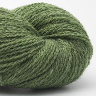 Bio Shetland - 57 Meadow