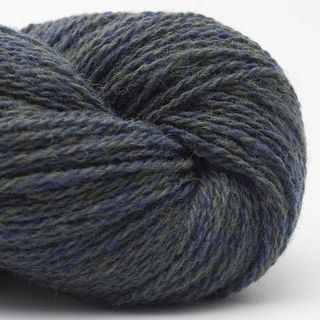 Bio Shetland - 71 Fern
