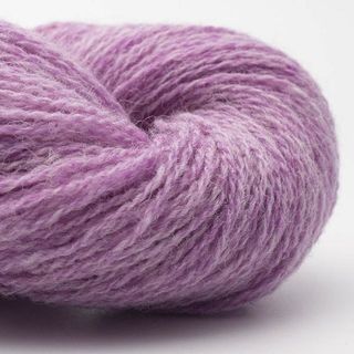 Bio Shetland - 67 Magnolia