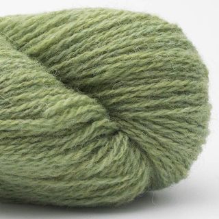 Bio Shetland - 11 Spring Green