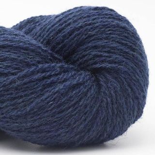 Bio Shetland - 21 Deep Sea