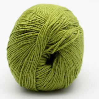 BC Garn Alba GOTS - 43 Middle Green