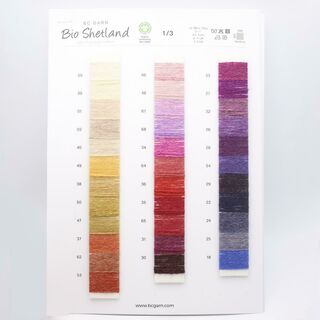 BC Garn Bio Shetland Shade Card