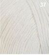 Soft Cotton 100g Ivory (37)
