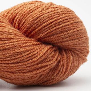 Bio Balance - 17 Orange
