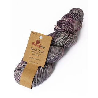 Hand Dyed Merino DK - Hidden Sanctury