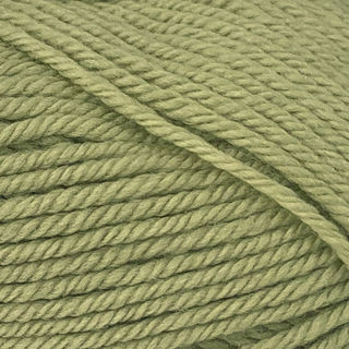 Peppin 4 - 29 Leaf