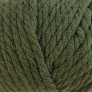 Broadway Premium NZ Merino Super Chunky - Fern (4647)